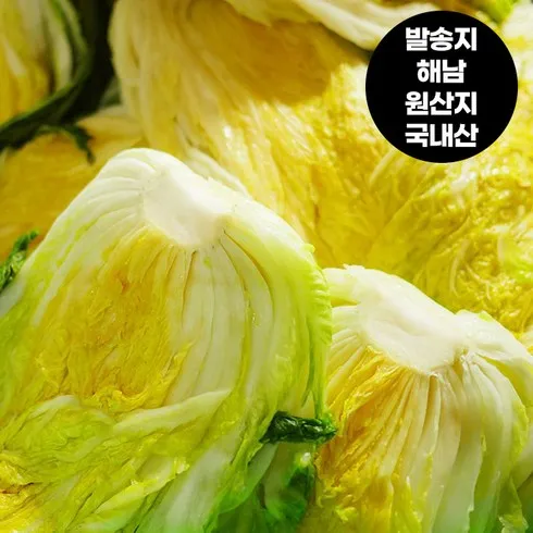 가성비최고 절인배추 Best 추천 Top8